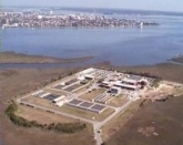 Water Plant